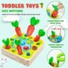 Felly Juguetes Montessori 1 Año, Juguetes de Madera Rompecabezas Zanahorias Clasificación Juego de Pesca Juguetes Educativos Niños, Temprano Regalo de Cumpleaños Navidad para Bebés de 1-3 años