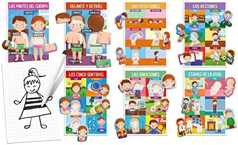 Headu- Así Estamos Hechos Mi Primer Juego sobre el Cuerpo Humano Infantil Educatvo de Anatomía, Color azul (1043732) , color/modelo surtido. Incluye 1 caja
