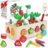 Juguetes Montessori Madera 1 Años, Montessori Educativos Juegos Niños 1 2 3 4 5 años, Juguete Magneticos con Juego de Pescar y Puzzles para de 1-5 Años Regalos de Cumpleaños Navidad