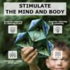 SHASHIBO paquete de 4 cajas de cambios de forma (36 imanes de tierras raras) STEM/STEAM Fidget geométrica 3D magnético transformador magnético cubo mágico